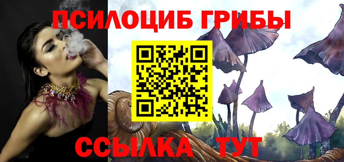 Галлюциногенные грибы Cubensis Кимры