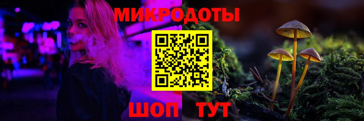 Кимры  Галлюциногенные грибы Psilocybe  Вход с VPN 